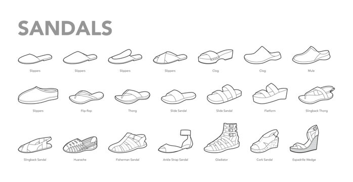 Sandal line pair set with title. Slide slippers, espadrille wedge, cork flatform, fisherman gladiator huarache, slingback thong flip flop. Classic outline footwear diagram vector, named collection.