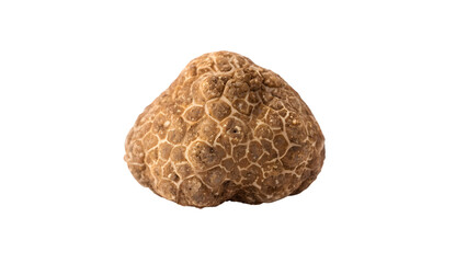Isolated brown truffle on a white background