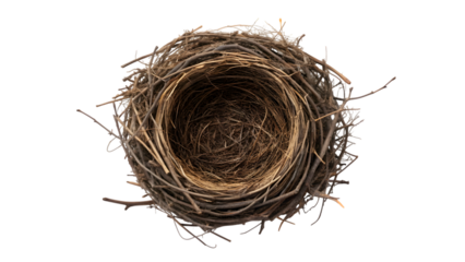 An empty brown bird nest made of natural straw and twigs isolated on a white background