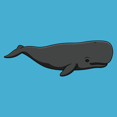 North Atlantic Right Whale Swimming - Animal Character Vector Illustration 