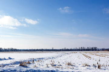 winter landscape with snow