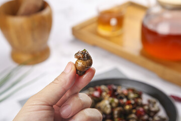 Sichuan Spicy Stir-Fried Snail and Meat Dish