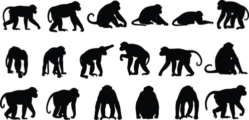 Monkey silhouettes collection set, primate walking sitting and climbing poses, wild jungle animal icons, black vector illustration for wildlife, nature, zoo design © Shoentesh