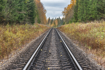 Railway line in the forest.