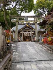 雨が降る神社の風景