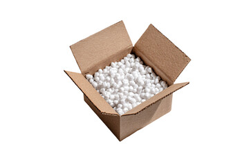 Open Cardboard Box with Packing Peanuts