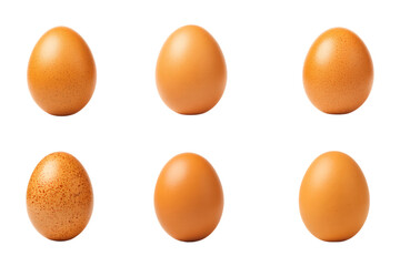 Row of Six Brown Eggs on White Background