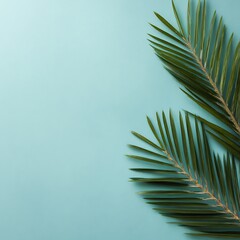 Fototapeta premium Palm leaf on turquoise background for tropical design and decoration