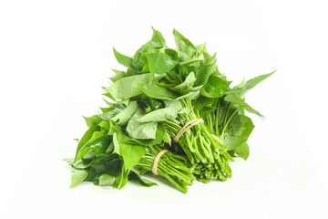 Obraz premium Fresh Green Garlic Chives and Tender Vegetables Bundle