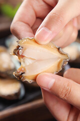 Fresh Dalian Abalone Seafood Product in Hand