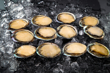 Fresh Dalian Abalones on Ice - Premium Seafood Products