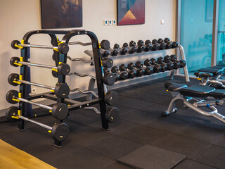 Modern and organized gym atmosphere, with a variety of barbells, dumbbells, and adjustable bench presses ready for use.