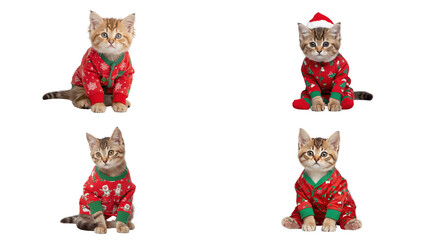 Fototapeta premium Playful kittens in festive pajamas holiday setting cute animal photography cheerful environment close-up view joyful concept