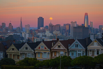 Painted Ladies  and San Francisco Skyline at Sunset