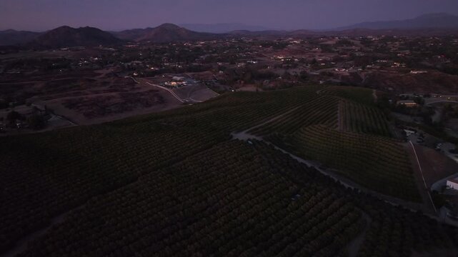 Sunrise drone flight over a beautiful vineyard in Temecula, California.