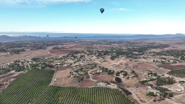 Early morning drone flight over a beautiful vineyard in Temecula, California while hot air balloons soar through blue skies.