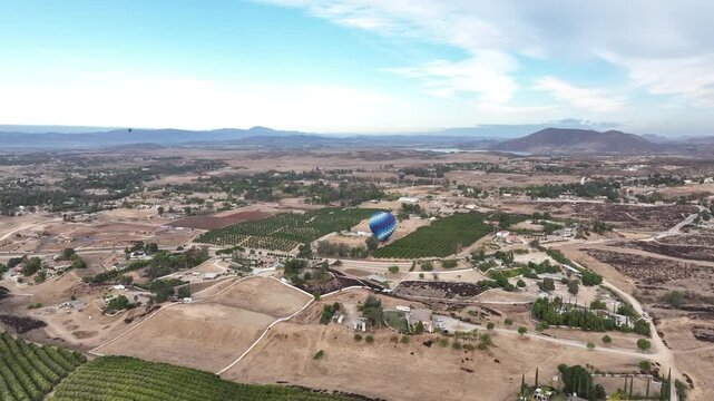 Early morning drone flight over a beautiful vineyard in Temecula, California while hot air balloons soar through blue skies.