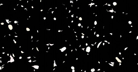White flower petals sway in the wind. Isolated on black background. 3D rendering.