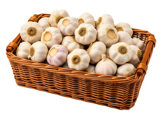 Fresh garlic bulbs