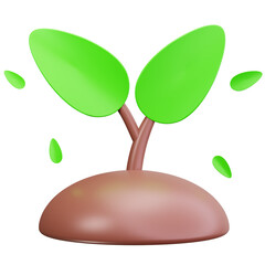 Growing Plant Seedling Soil