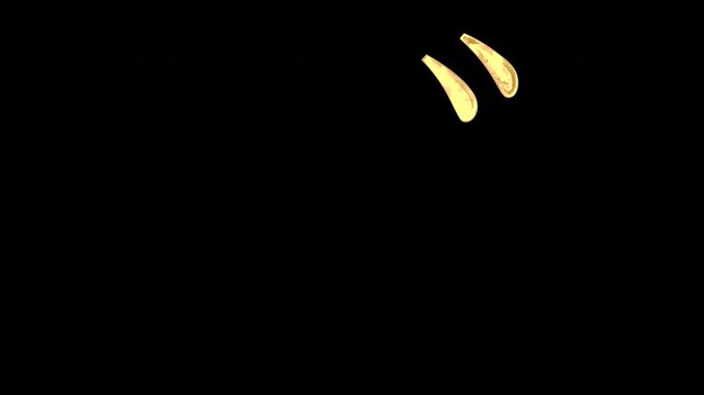 Gold Japanese characters and symbols &ldquo;濁点&rdquo;, light reflecting and patterns shifting, alpha channel