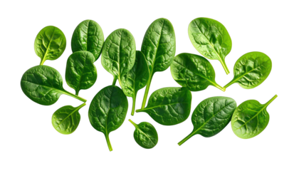 Fresh, vibrant green spinach leaves, arranged on a black background, healthy food
