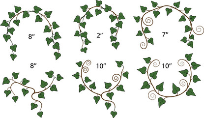 Decorative ivy vine illustration set, green leafy branch frames collection, botanical design elements, natural foliage ornament graphics