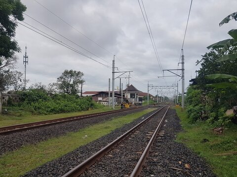 Double railway tracks flanked by green grass and bushes. Overcast view of train tracks near residential houses. Transportation