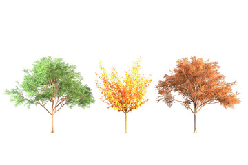 Fototapeta premium Three trees with green yellow and orange leaves against white.