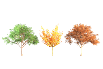 Three trees with green yellow and orange leaves against white.