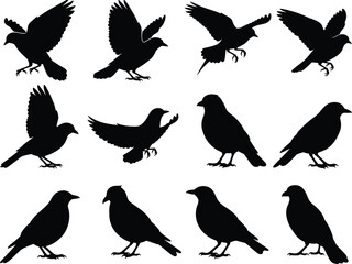 Obraz premium a collection of black silhouettes depicting various bird species in flight and perched showcasing different poses and wing positions high quality