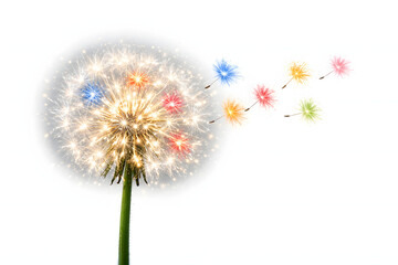 Dandelion Seeds of Color: A close-up shot of a delicate dandelion seed head, its fluffy globe adorned with radiant, multi-colored seeds, captured against a serene backdrop.