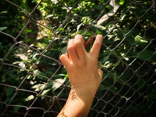 Hands gripping the bars of the cell, imprisoned.