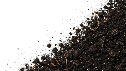 Dynamic Soil And Roots Texture On Black