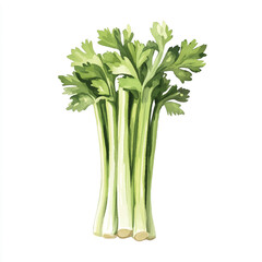 Fototapeta premium Vibrant Watercolor Celery Stalks with Fresh Green Leaves.