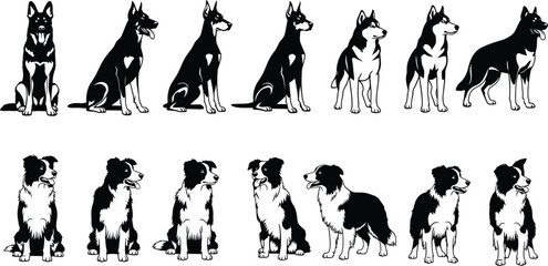 Monochrome Pet Dog Breed Vector Graphic Set, Including Sitting German Shepherd, Doberman Pinscher, Siberian Husky, and Border Collie Illustrations for Animal Products. © MdMojibar