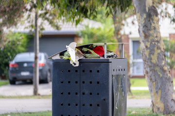 An overflowing public rubbish bin in a suburban street in Australia, with household waste and packaging protruding from the top. Issues of waste management, public cleanliness, litter control 