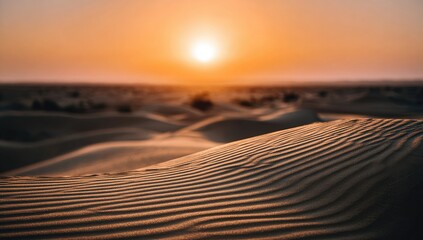 Golden sunset casts long shadows across rippled desert dunes