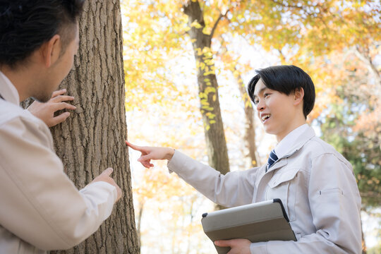 樹木の倒木や伐採などのチェックをする作業員　フィールドワークなどの調査