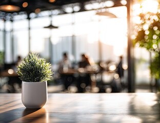 Small green plant in a white pot on a wooden table, with people blurred in background