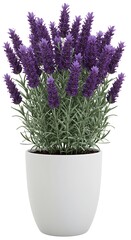 ラベンダーの静寂: 3Dレンダリング