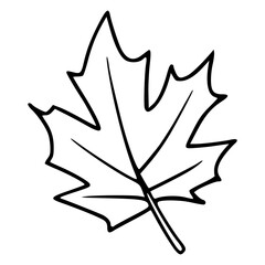 outline drawing of autumn maple tree leaf 