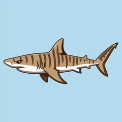 Tiger Shark Swimming with Characteristic Stripes - Animal Character Vector Illustration 