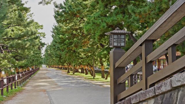Wide, ground-level view of the scenic Soka Matsubara pathway, lined with traditional pine trees and a wooden fence and railing.