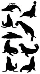 Fototapeta premium Sea lion silhouettes showcasing diverse poses capturing marine animal behavior for graphics