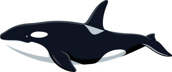  Killer Whale, Orca - Animal Character Illustration Isolated on Transparent Background