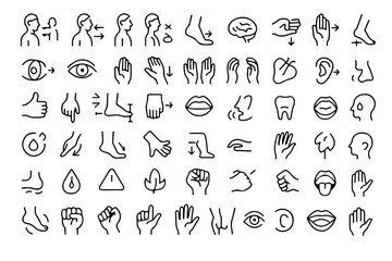 A set of various simple human body parts icons and illustrations. This comprehensive collection is perfect for educational resources, medical infographics, and design projects