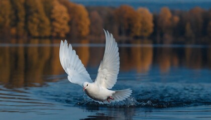 A pristine white dove with iridescent feathers takes flight from a tranquil lake surface during autumn, symbolizing peace and new beginnings.