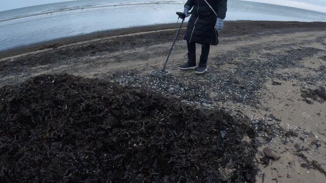 A detectorist walks along a winter shoreline, sweeping a metal detector over seaweed piles and gravel in search of hidden targets near the water&rsquo;s edge.