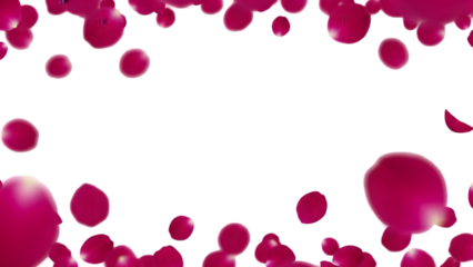 Beautiful pink confetti scattered on a transparent background for celebration